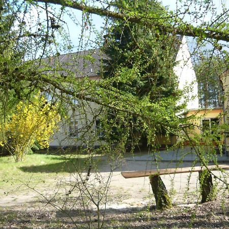 Apartmán Suedseite Nossentiner Huette Exteriér fotografie